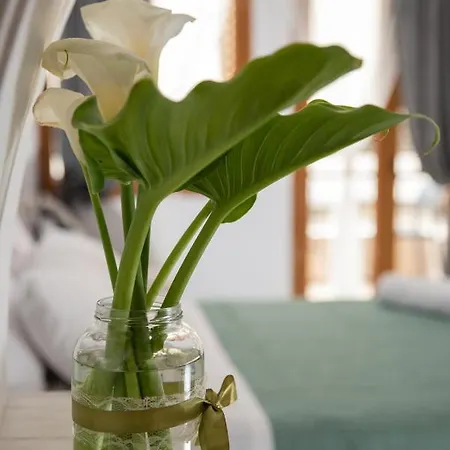 Vesta Suite&studio In Chania Old Town Apartamento