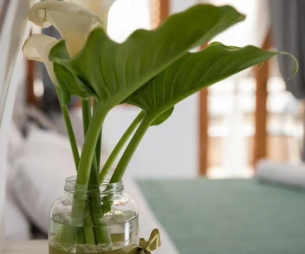 Vesta Suite&studio In Chania Old Town Апартаменты